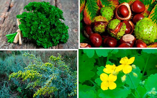 Kräuter zur Behandlung von Prostatitis.