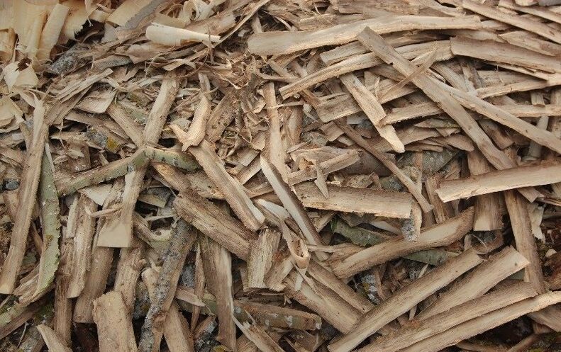 Pappelrinde gegen Prostatitis